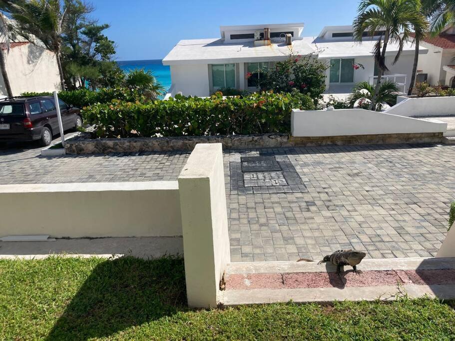 Cancun Oceanfront, Entire Apartment Eksteriør billede